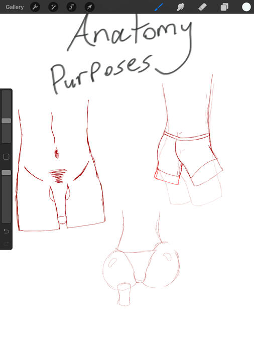 Some NSFW reference thing I did for myself for anatomical purposes - WIP